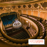 Le Théâtre Impérial du Château de Fontainebleau - Théâtre Cheikh Khalifa bin Zayed Al Nahyan -  A7C7765 HDR