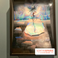 Surréalisme au féminin, l'exposition libératrice au Musée de Montmartre  - IMG 1405