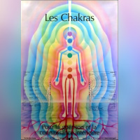 Le centre relaxant H2E et Gîte des Prés de Garnes - poster chakras french