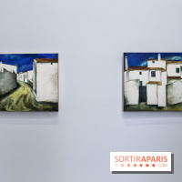 Anna-Eva Bergman, nos photos de l'expo à Paris