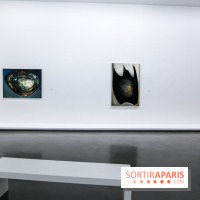 Anna-Eva Bergman, nos photos de l'expo à Paris