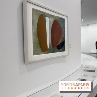 Anna-Eva Bergman, nos photos de l'expo à Paris