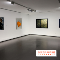 Anna-Eva Bergman, nos photos de l'expo à Paris