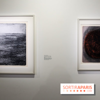 Anna-Eva Bergman, nos photos de l'expo à Paris