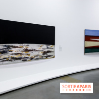 Anna-Eva Bergman, nos photos de l'expo à Paris