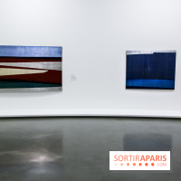 Anna-Eva Bergman, nos photos de l'expo à Paris