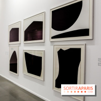 Anna-Eva Bergman, nos photos de l'expo à Paris