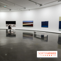 Anna-Eva Bergman, nos photos de l'expo à Paris