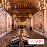 Exposition Antoine Caron au Château d’Écouen -  A7C8465 HDR