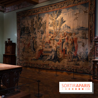 Château d'Écouen - Musée national de la Renaissance  -  A7C8589