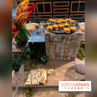 Dream Castle Hôtel, le 4**** familial à côté de Disneyland - D77B4E6D 5D0B 4C84 BE58 D6ACFD8AAB1D