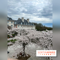 Dream Castle Hôtel, le 4**** familial à côté de Disneyland - 313FFED8 FA4A 405C 8600 63A554BF8DDD