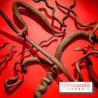 Songlines, l'exposition du musée du Quai Branly qui nous plonge dans les légendes australiennes  - IMG20230403104017