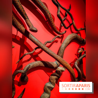 Songlines, l'exposition du musée du Quai Branly qui nous plonge dans les légendes australiennes  - IMG20230403104036