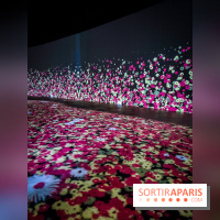 Songlines, l'exposition du musée du Quai Branly qui nous plonge dans les légendes australiennes  - IMG20230403101241