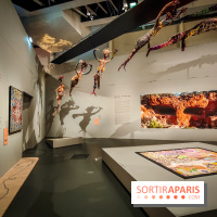 Songlines, l'exposition du musée du Quai Branly qui nous plonge dans les légendes australiennes  - IMG20230403105354