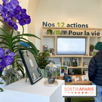 Partie de Campagne au BHV - (38)