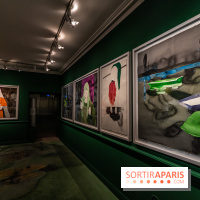 Exposition Françoise Pétrovitch : Aimer. Rompre au Musée de la Vie Romantique - photos -  A7C9279