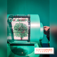 Métamorphoses, l'exposition poétique à découvrir à la Cité des Sciences et de l'Industrie