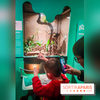 Métamorphoses, l'exposition poétique à découvrir à la Cité des Sciences et de l'Industrie