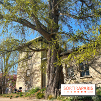 Le Jardin des Serres d'Auteuil - IMG 1492