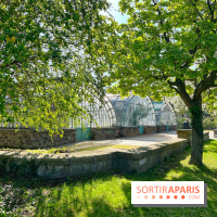 Le Jardin des Serres d'Auteuil - IMG 1510