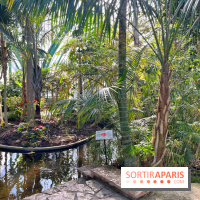 Le Jardin des Serres d'Auteuil - IMG 1527