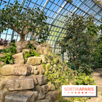 Le Jardin des Serres d'Auteuil - IMG 1532