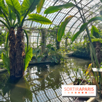 Le Jardin des Serres d'Auteuil - IMG 1542