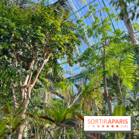 Le Jardin des Serres d'Auteuil - IMG 1552