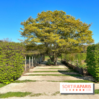 Le Jardin des Serres d'Auteuil