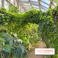 Le Jardin des Serres d'Auteuil