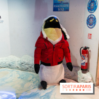 Aquarium Sea Life - IMG 8399