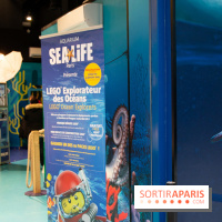 Aquarium Sea Life