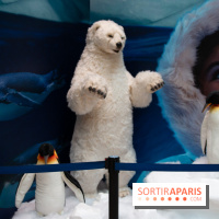 Aquarium Sea Life - IMG 8401