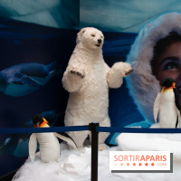 Aquarium Sea Life - IMG 8402