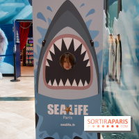 Aquarium Sea Life