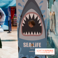 Aquarium Sea Life - IMG 8405