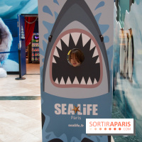 Aquarium Sea Life - IMG 8406