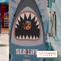 Aquarium Sea Life - IMG 8408