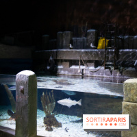 Aquarium Sea Life - IMG 8389