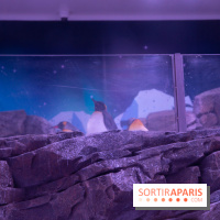 Aquarium Sea Life - IMG 8390