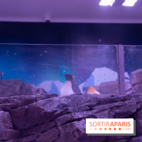 Aquarium Sea Life - IMG 8391