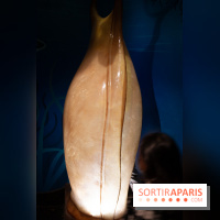 Aquarium Sea Life - IMG 8382