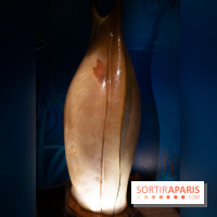 Aquarium Sea Life - IMG 8383