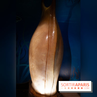 Aquarium Sea Life - IMG 8384