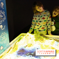 Aquarium Sea Life - IMG 8372