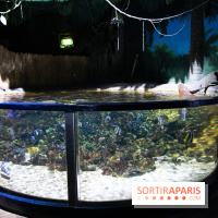 Aquarium Sea Life - IMG 8375