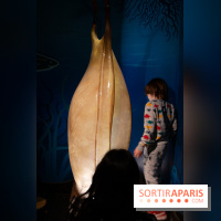 Aquarium Sea Life - IMG 8379