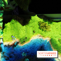 Aquarium Sea Life - IMG 8366